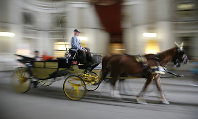 Image showing Horse cab in action Vienna