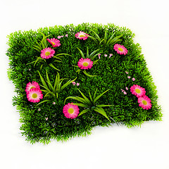 Image showing Grass artificial