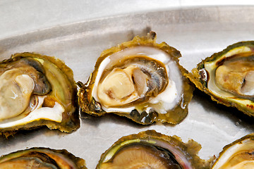 Image showing Oysters shells