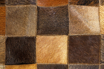 Image showing Brown fur