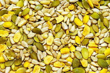 Image showing Seeds texture