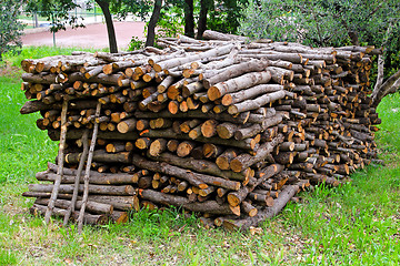 Image showing Firewood stack