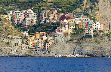 Image showing Manarola