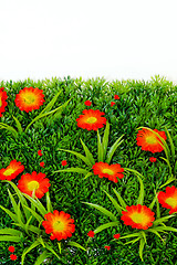 Image showing Flowers artificial