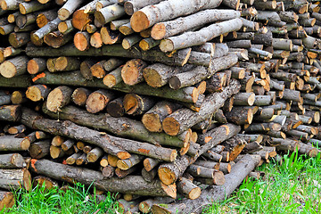 Image showing Firewood