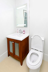 Image showing Toilet vintage