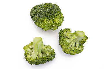 Image showing Broccoli