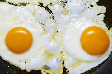 Image showing Fried eggs