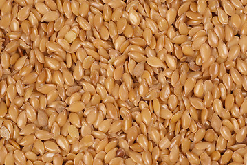 Image showing Linseed