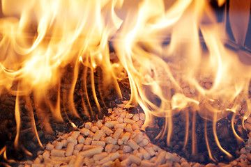 Image showing Wood pellets