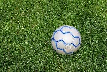 Image showing Soccer Ball on the Lawn