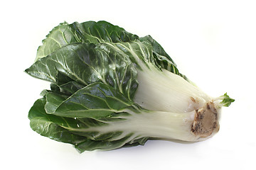 Image showing Chard