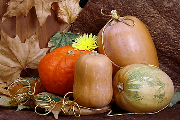 Image showing Autumn still life with pumpkins.