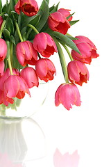 Image showing Bouquet of pink tulips on a white background.