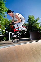 Image showing BMX Bike Stunt