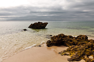 Image showing Beach bunny.