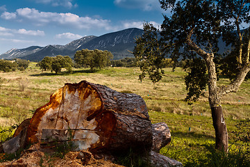 Image showing Landscape on the National Park Arrabida