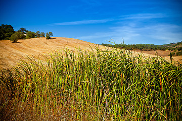 Image showing Landscape on the National park Arrabida.