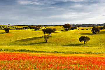 Image showing Greenfield at the beginning of spring.