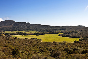 Image showing National park Arrabida.