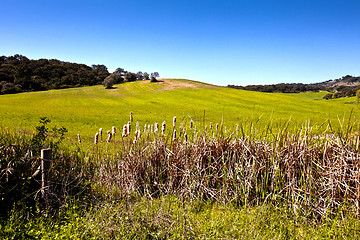 Image showing Countryside with beautiful green field.