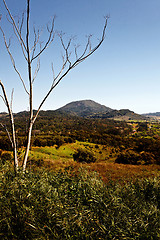 Image showing Winter landscape countryside.