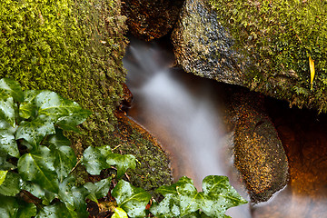 Image showing Small natural waterfall.