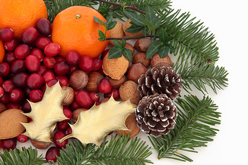 Image showing Christmas Fruit, Nuts and Fauna