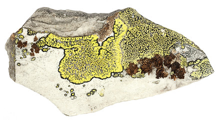 Image showing Rock with lichen