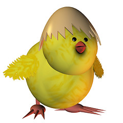 Image showing Chick with egg shell as a hat
