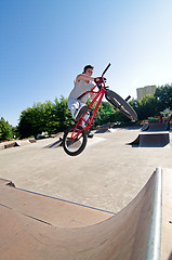 Image showing BMX Bike Stunt bar spin