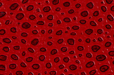 Image showing Red leather book cover detail