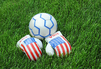 Image showing Boxing Gloves and Soccer Ball on Green Lawn