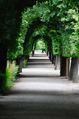 Image showing Austria, Vienna, Schonbrunn Castle gardens