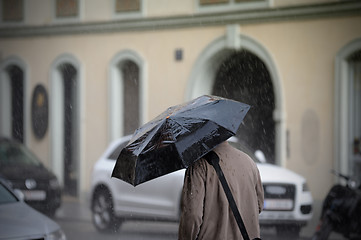 Image showing Man walking with umbrella, rear view