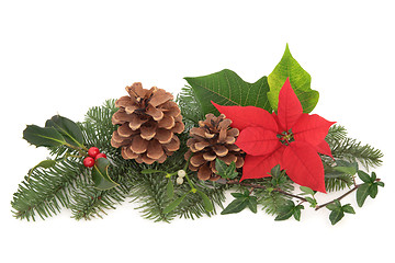 Image showing Christmas Flora and Fauna