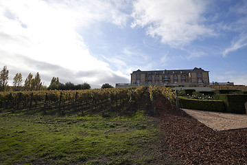 Image showing Vineyard Estate