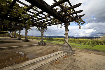 Image showing Grapevine Pergola