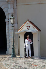 Image showing Single Monaco Guard