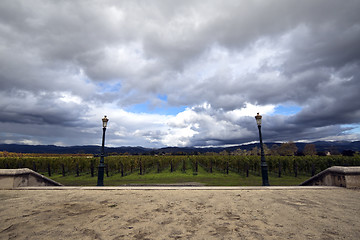 Image showing Winery Estate