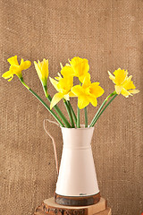 Image showing daffodils