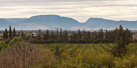 Image showing moroccan landscape