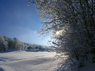 Image showing winter farm