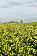 Image showing Windmill