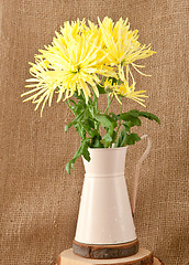 Image showing chrysanthemum