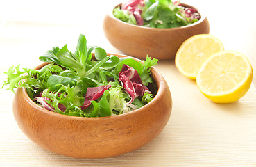 Image showing Salad