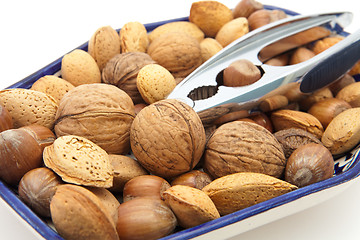 Image showing nuts