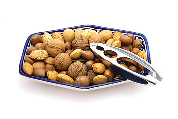 Image showing nuts