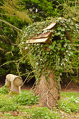 Image showing bird table