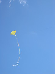 Image showing Kite in summer